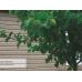 Сайдинг коллекция TIMBERBLOCK Пихта — Сахалинская от производителя Ю-Пласт по цене 391 р Сайдинг коллекция TIMBERBLOCK Пихта — Сахалинская от производителя Ю-Пласт по цене 391 р