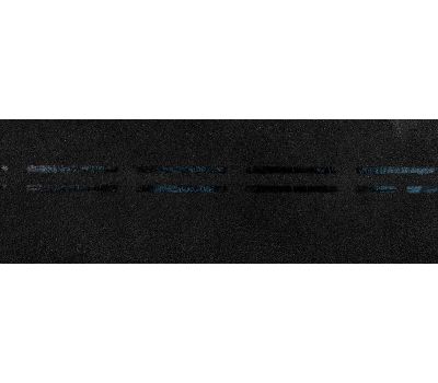 Коньково-карнизная черепица Eurasia - Чёрный от производителя  Docke по цене 3 900 р