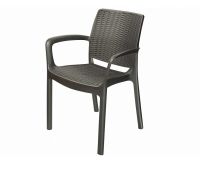 Стул с подлокотниками JERSEY Коричневый Стул с подлокотниками JERSEY Коричневый